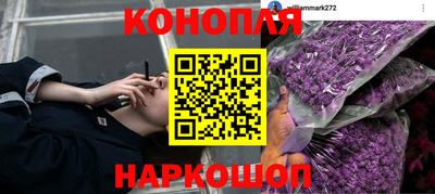 PSILOCYBIN Кунгур