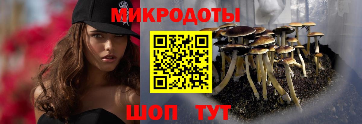 Псилоцибиновые грибы Cubensis  Вход с VPN  Свободный 